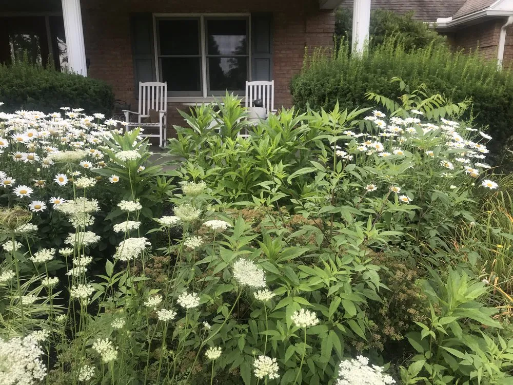 Affordable residential landscaping near you in Union, KY by Double B’z Landscaping