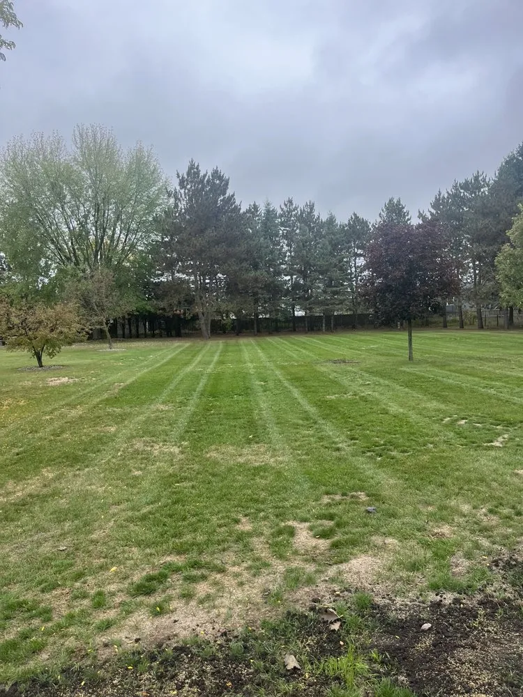 Affordable landscaping services in Weston, WI by Double C Enterprises