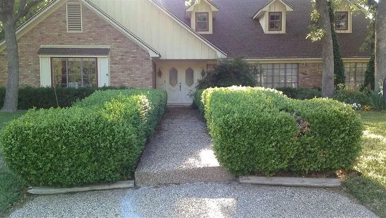 Reliable yard maintenance for homes across Bryan, TX - Double C Landscape