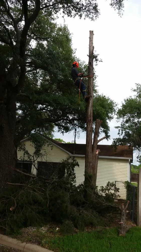 Trusted garden landscaping in Bryan, TX by Double C Landscape