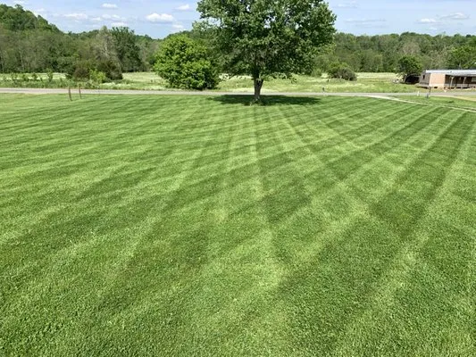 Double C Lawncare Logo