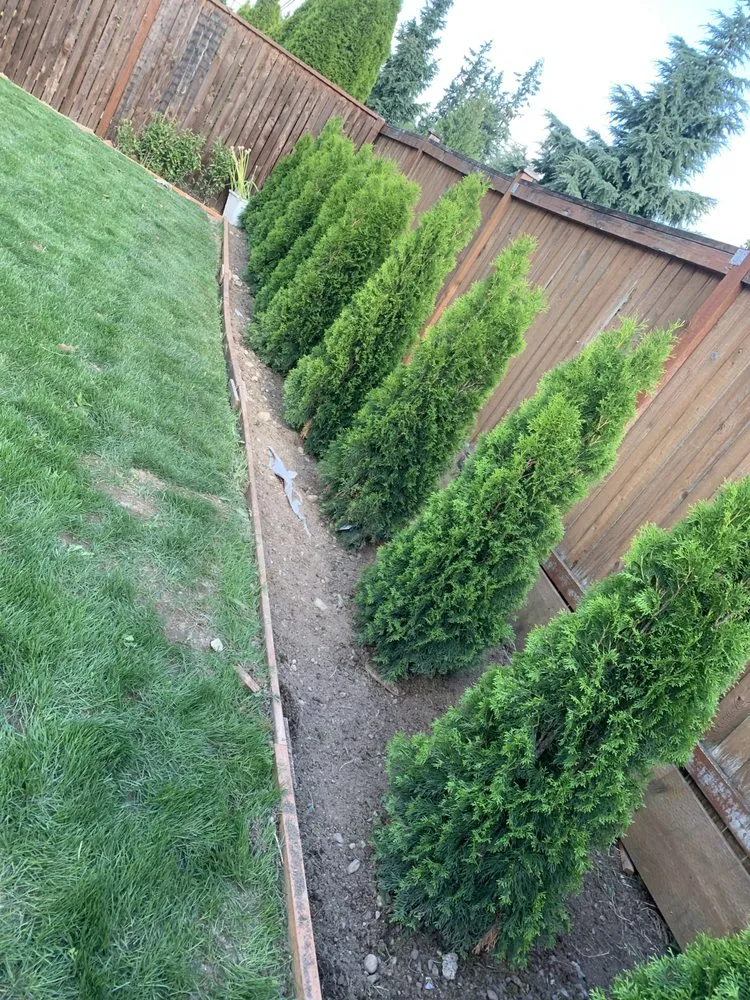 Custom landscaping services for outdoor upgrades in Monroe, WA by Double C