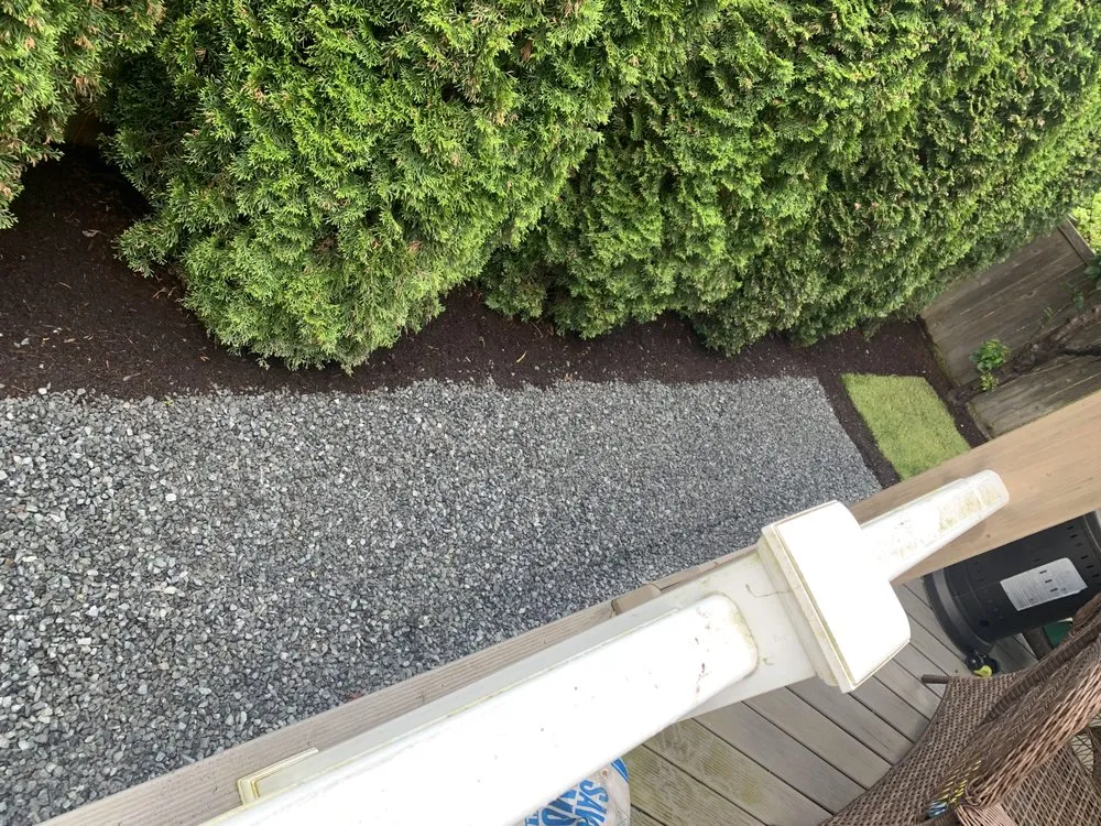 Professional yard cleanup service for homes across Monroe, WA - Double C