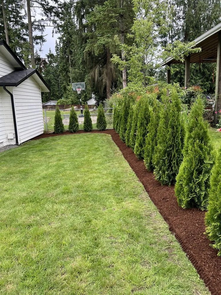 Affordable yard cleanup service in Monroe, WA by Double C