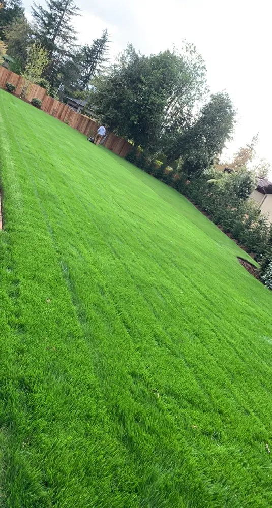 Top-rated landscape installation for beautiful yards across Monroe, WA - Double C