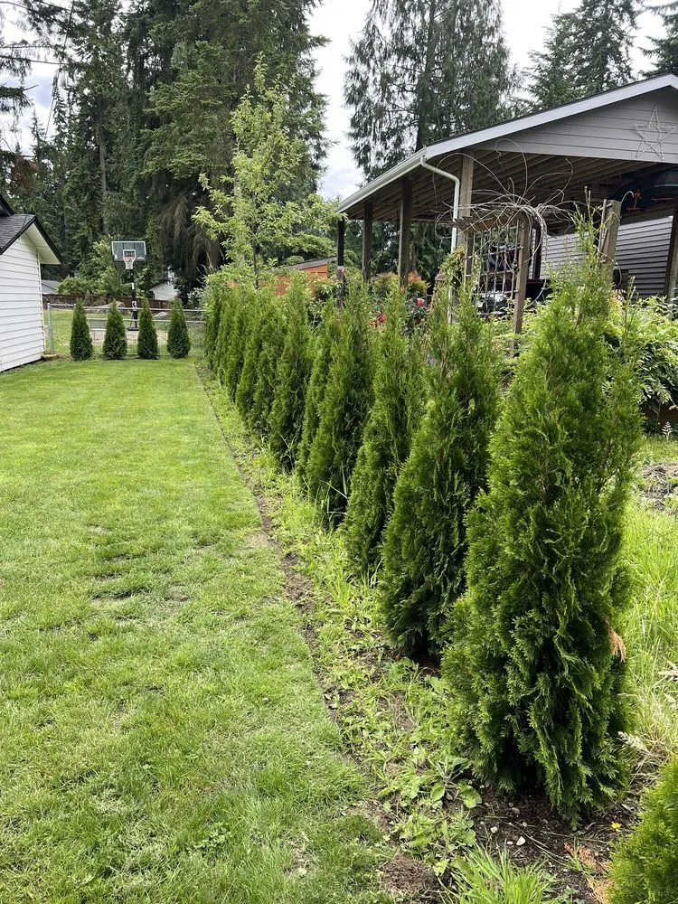 Expert outdoor landscaping for year-round maintenance in Monroe, WA by Double C