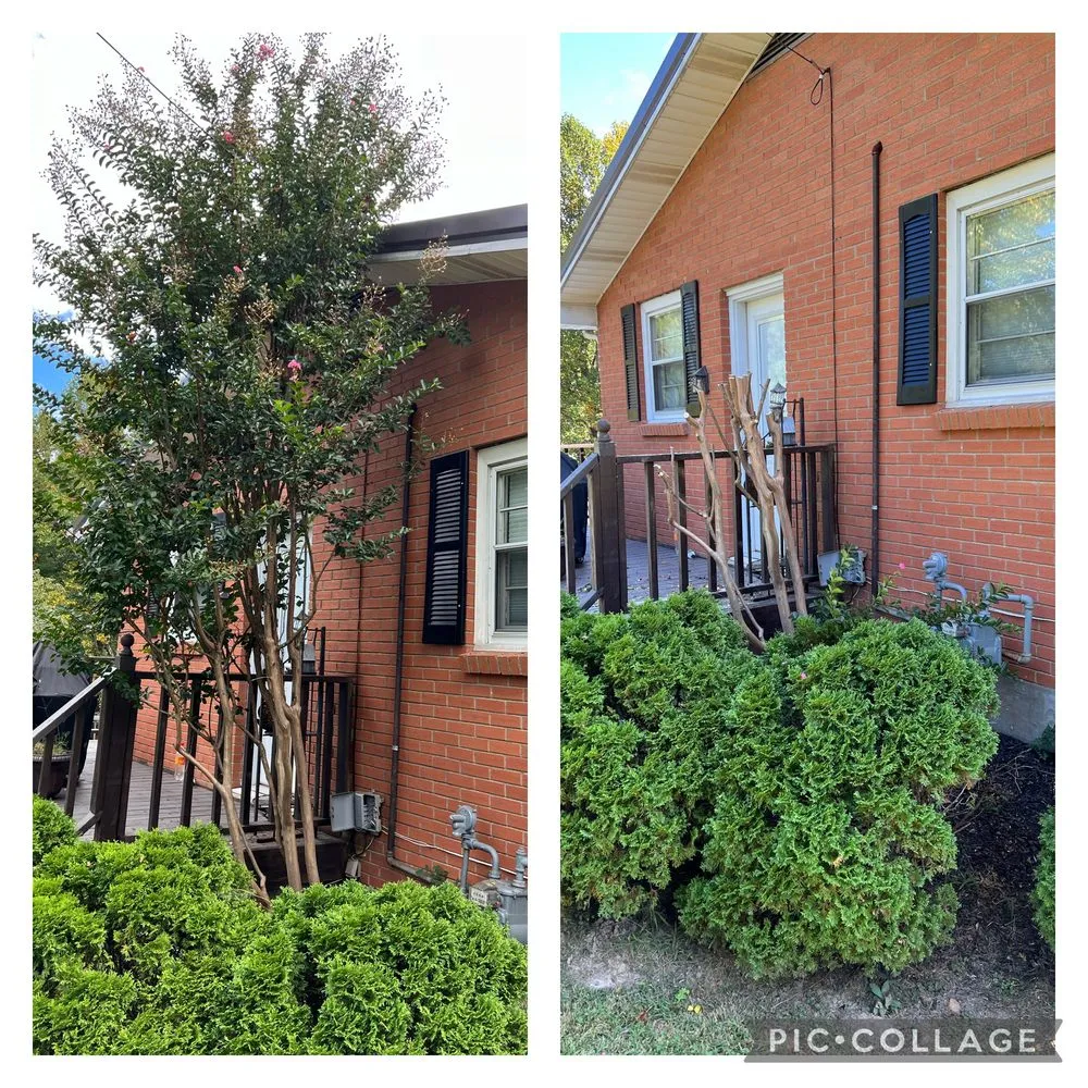 Reliable yard maintenance experts serving Ashland City, TN - Double C Solutions