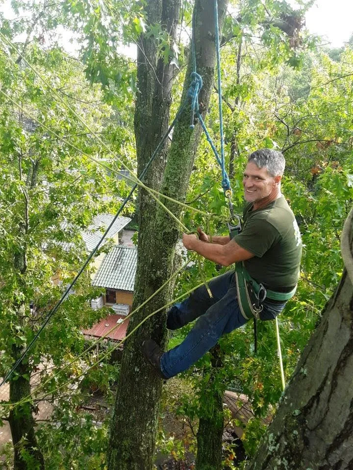Reliable landscape design for residential properties across Elkhart, IN - Double C Tree Service