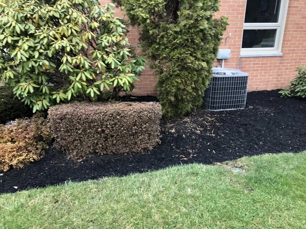 Custom landscaping services in Camden, NJ by Double Canopy Contracting