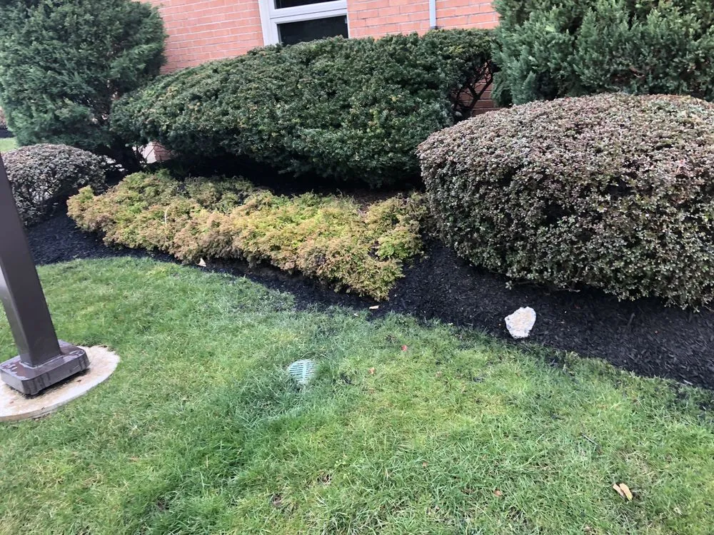 Local landscaping services in Camden, NJ - Double Canopy Contracting