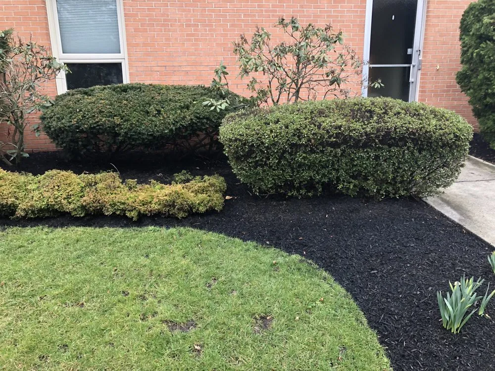 Top-rated garden landscaping in Camden, NJ by Double Canopy Contracting