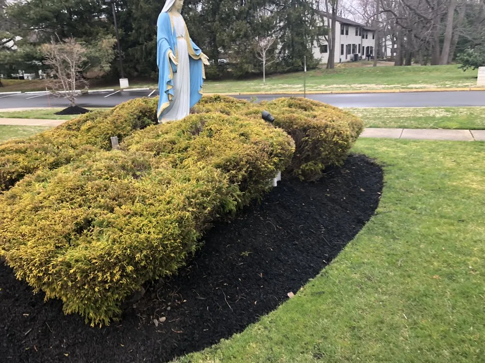 Expert landscaping services in Camden, NJ by Double Canopy Contracting