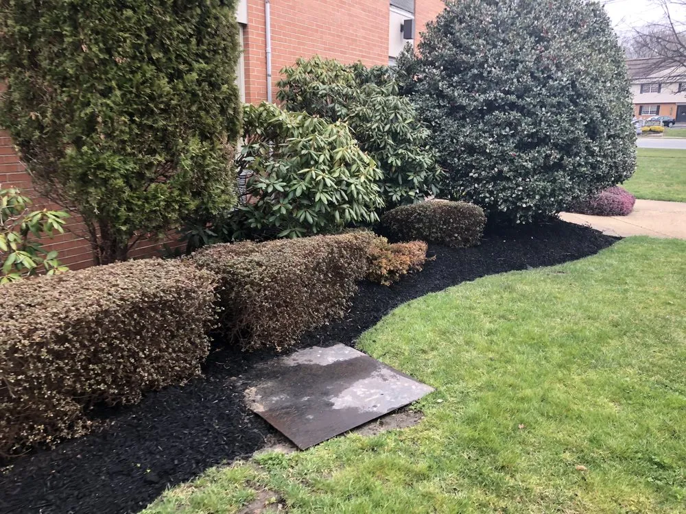 Reliable garden landscaping in Camden, NJ by Double Canopy Contracting