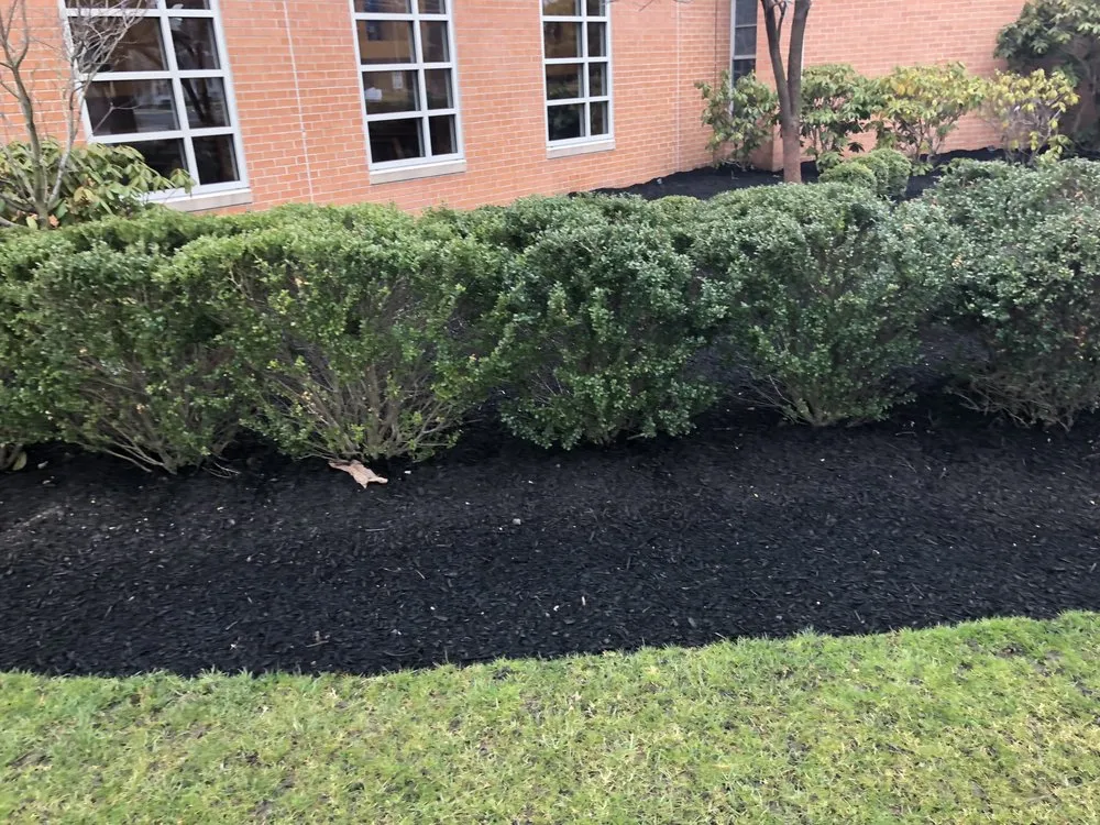 Professional residential landscaping for residential properties across Camden, NJ - Double Canopy Contracting