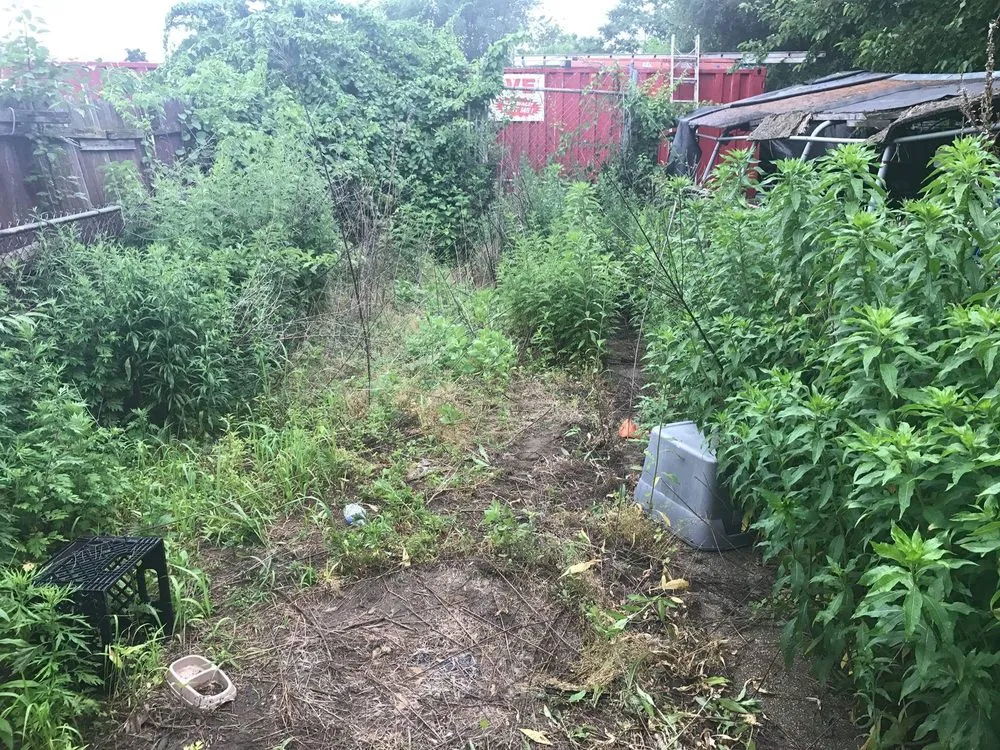 Expert landscape design near you in Camden, NJ by Double Canopy Contracting