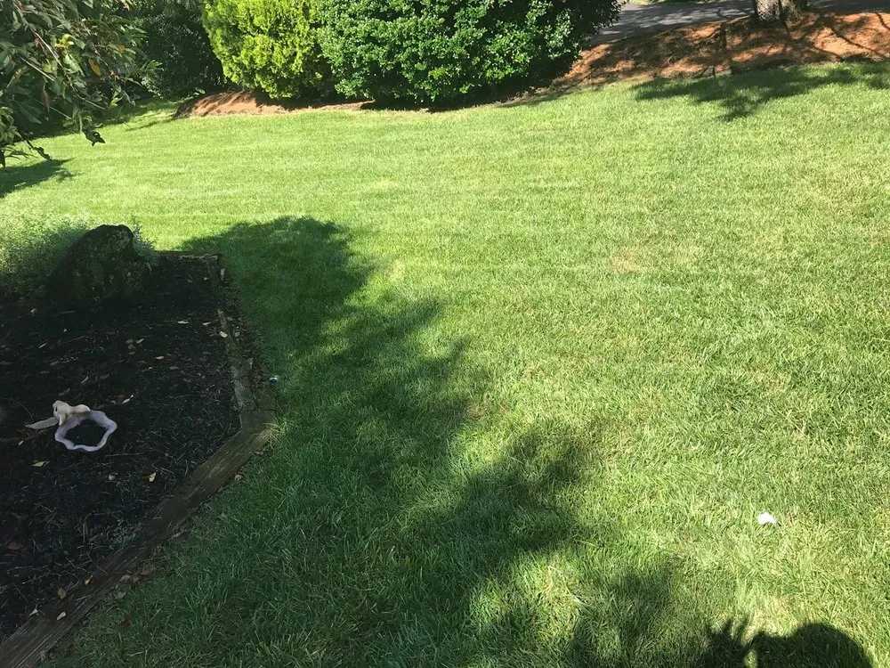 Expert lawn care service near you across Camden, NJ - Double Canopy Contracting