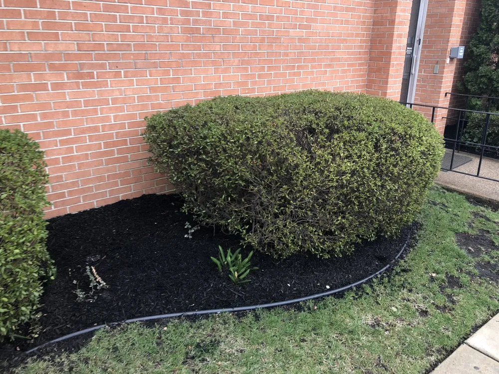 Top-rated outdoor landscaping for homes in Camden, NJ by Double Canopy Contracting