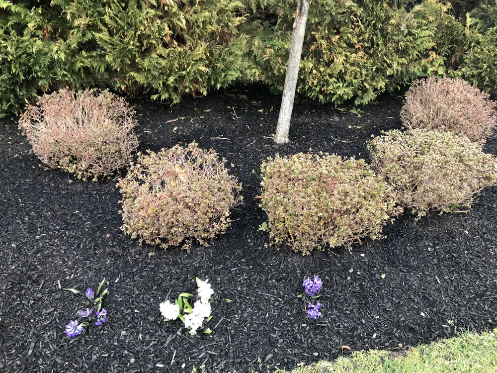 Top-rated garden landscaping experts serving Camden, NJ - Double Canopy Contracting