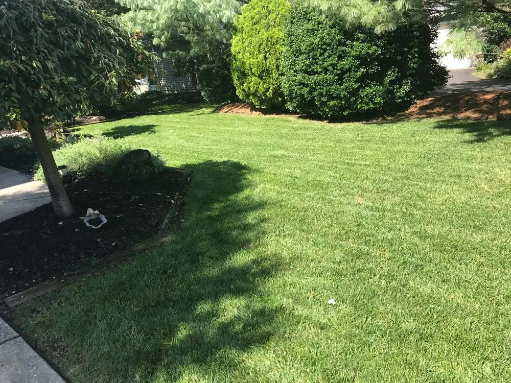 Trusted landscaping services experts serving Camden, NJ - Double Canopy Contracting