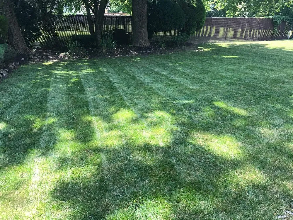 Trusted garden landscaping in Camden, NJ by Double Canopy Contracting