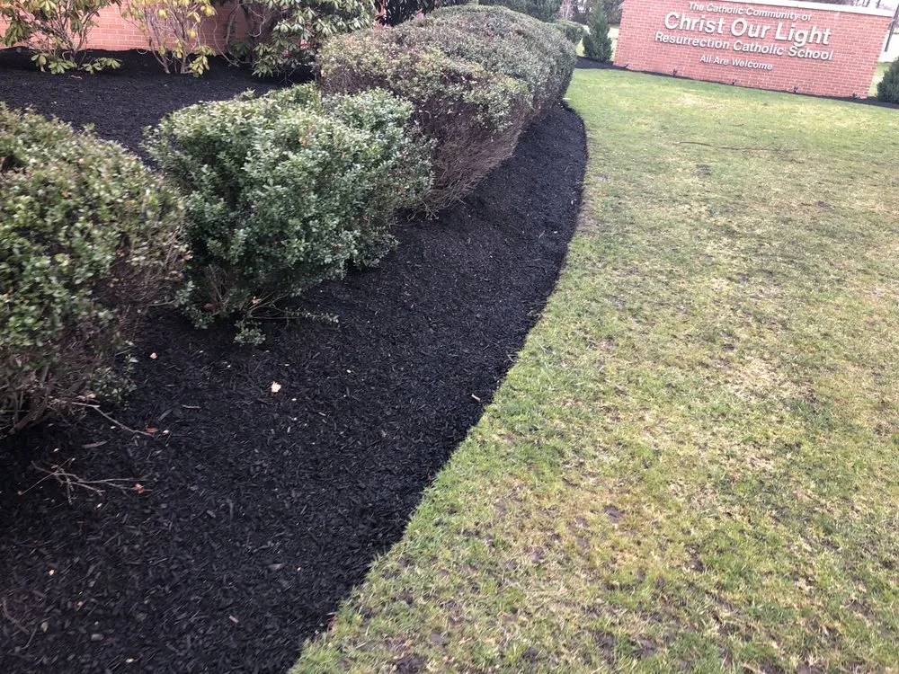 Affordable outdoor landscaping near you in Camden, NJ by Double Canopy Contracting