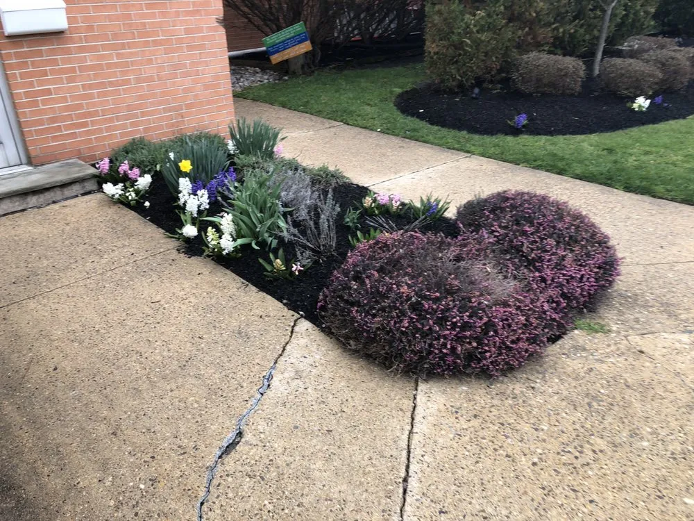 Reliable garden landscaping experts serving Camden, NJ - Double Canopy Contracting