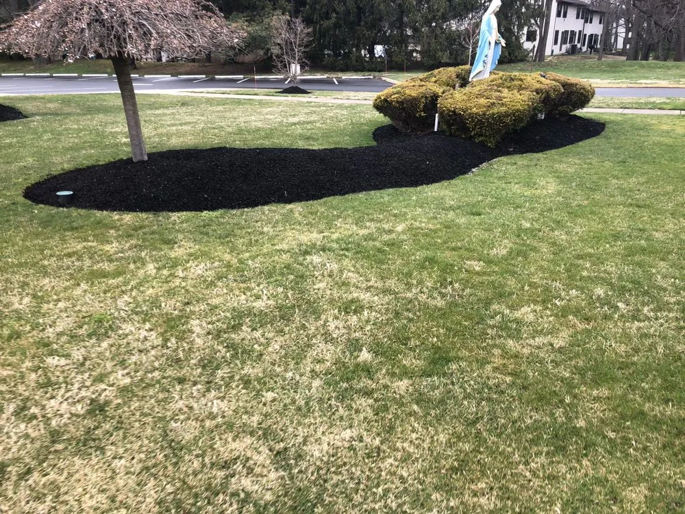 Top-rated garden landscaping near you across Camden, NJ - Double Canopy Contracting