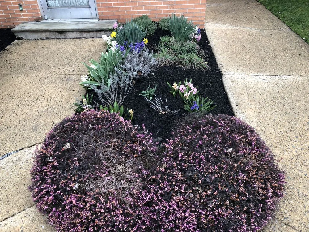 Top-rated landscaping services for beautiful yards across Camden, NJ - Double Canopy Contracting