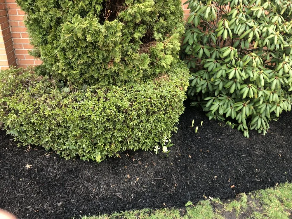 Top-rated garden landscaping in Camden, NJ - Double Canopy Contracting