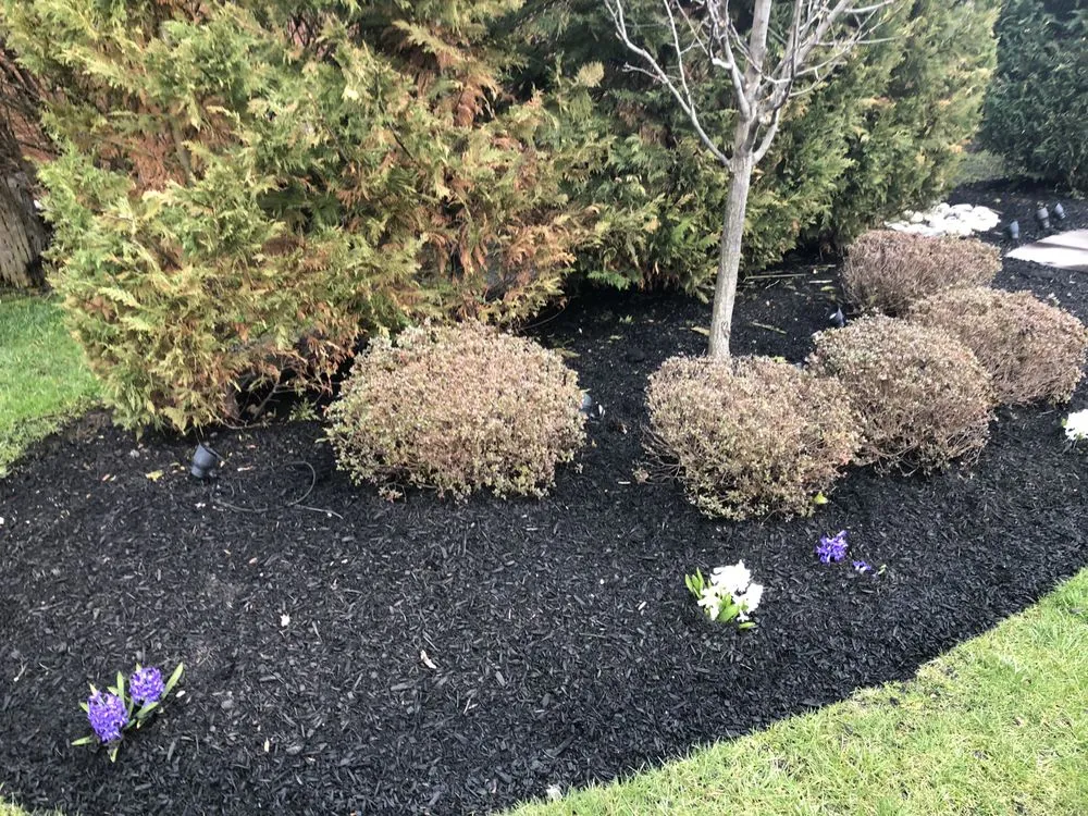 Custom landscape design in Camden, NJ by Double Canopy Contracting