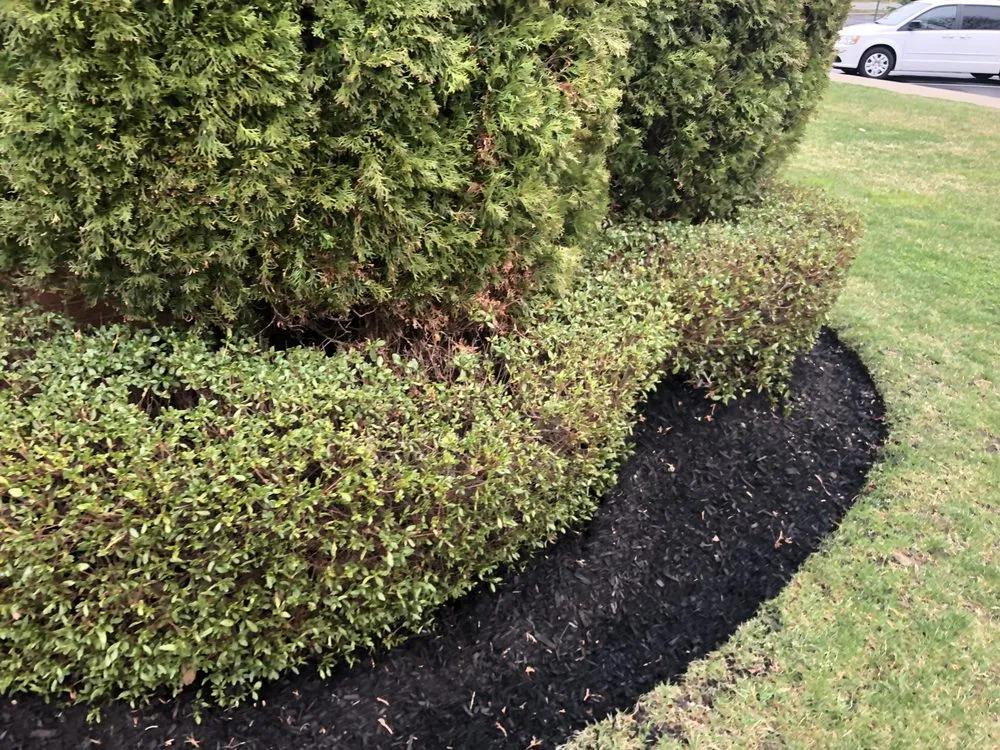 Affordable landscape installation near you across Camden, NJ - Double Canopy Contracting