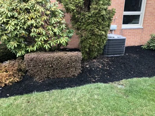 Double Canopy Contracting Logo