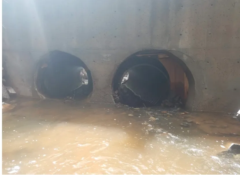 Expert landscape design for year-round maintenance across Temecula, CA - Double Creek Construction