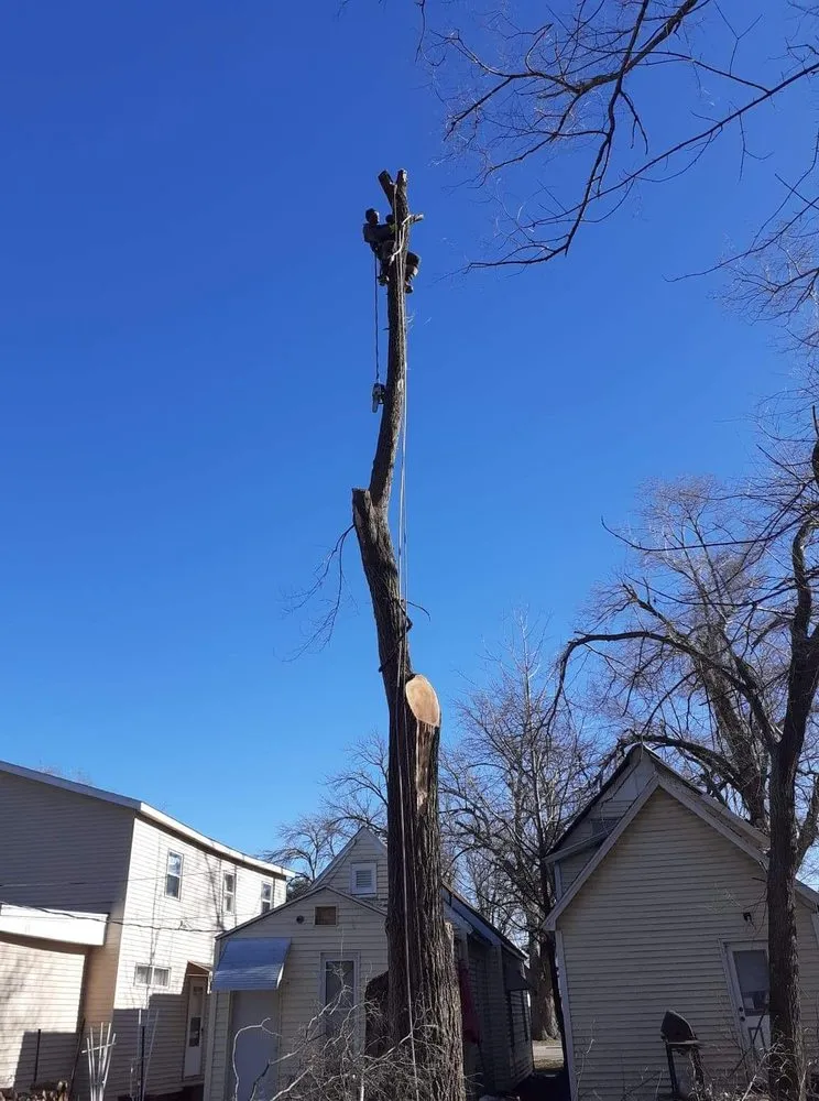 Reliable landscape design for outdoor upgrades across Springfield, IL - Double D & Son Tree Experts