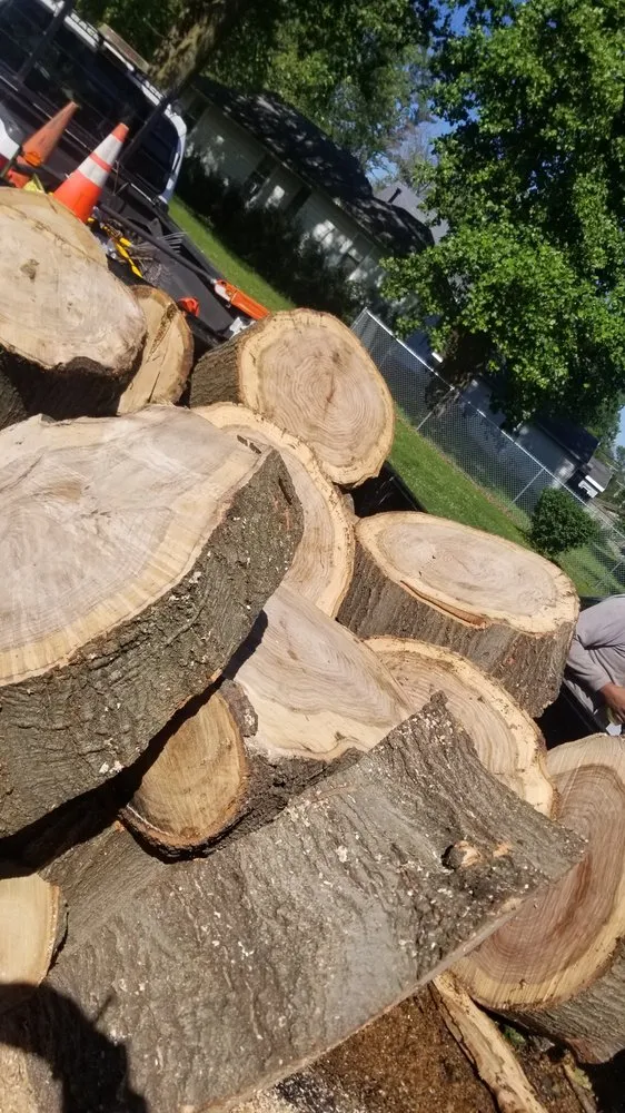 Local lawn mowing service for year-round maintenance in Springfield, IL by Double D & Son Tree Experts