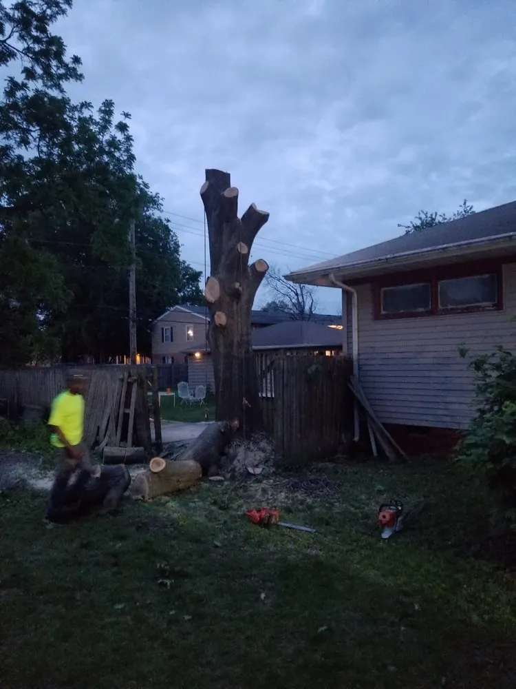 Top-rated residential landscaping with custom design across Springfield, IL - Double D & Son Tree Experts