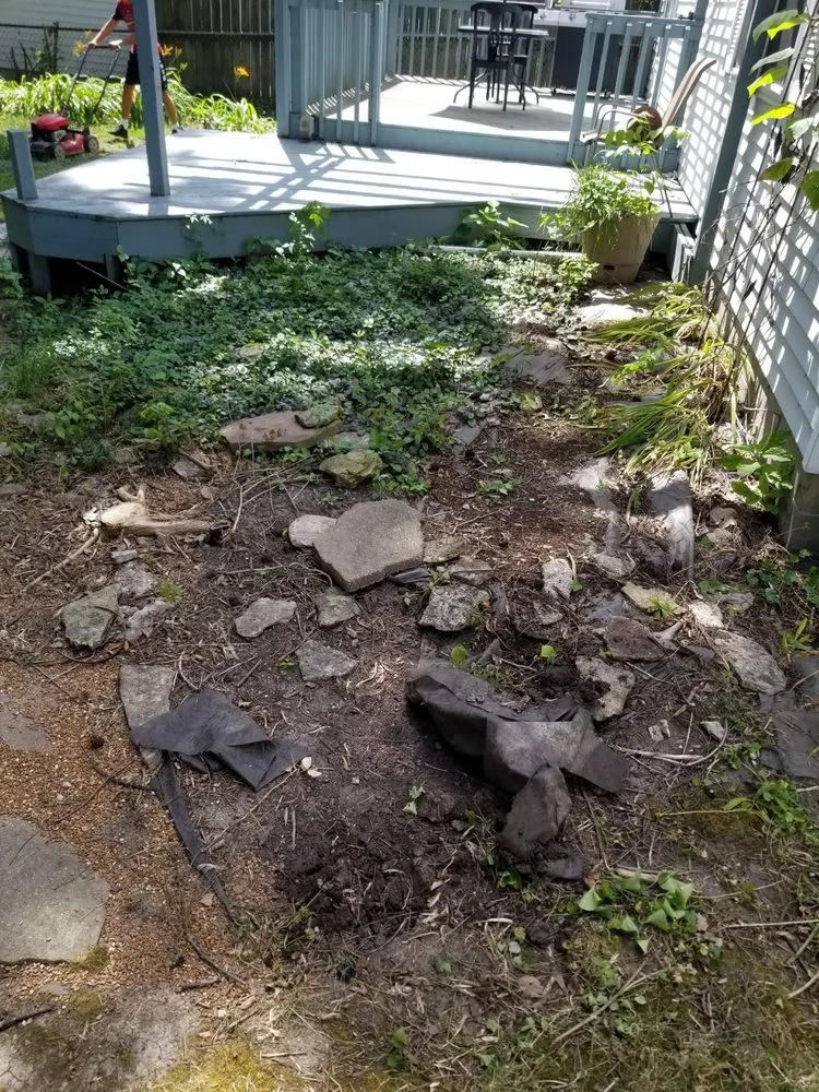 Local landscaping services in Springfield, IL - Double D & Son Tree Experts