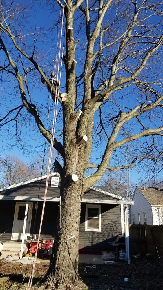 Custom landscape installation in Springfield, IL - Double D & Son Tree Experts