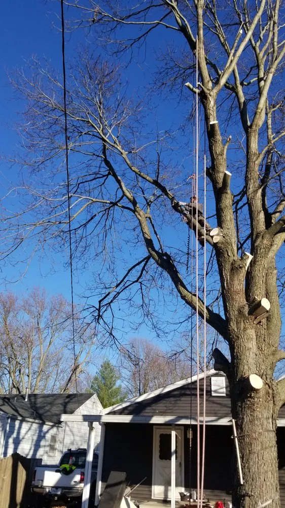 Trusted landscape installation for residential properties in Springfield, IL by Double D & Son Tree Experts