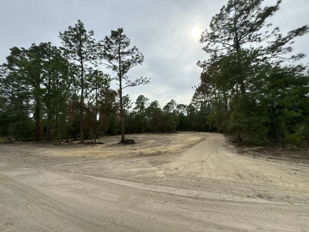 Expert landscape design experts serving Inglis, FL - Double D Land & Tree