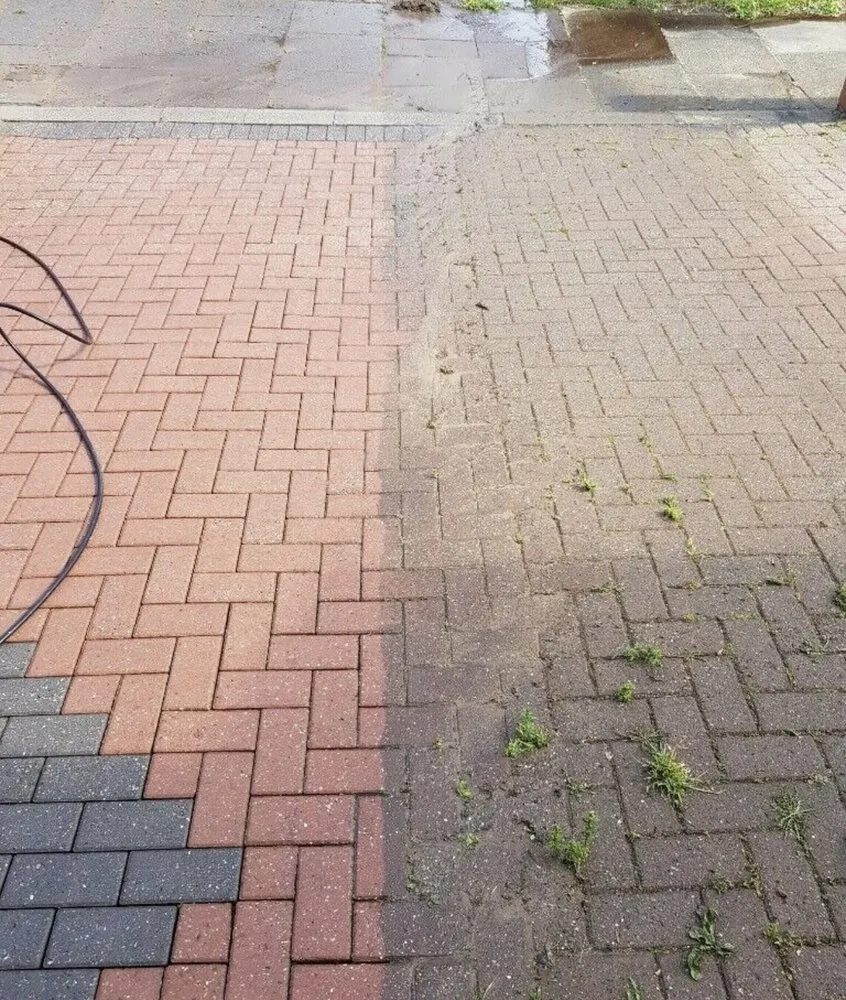 Local landscaping services experts serving St. Petersburg, FL - Double D Landscape