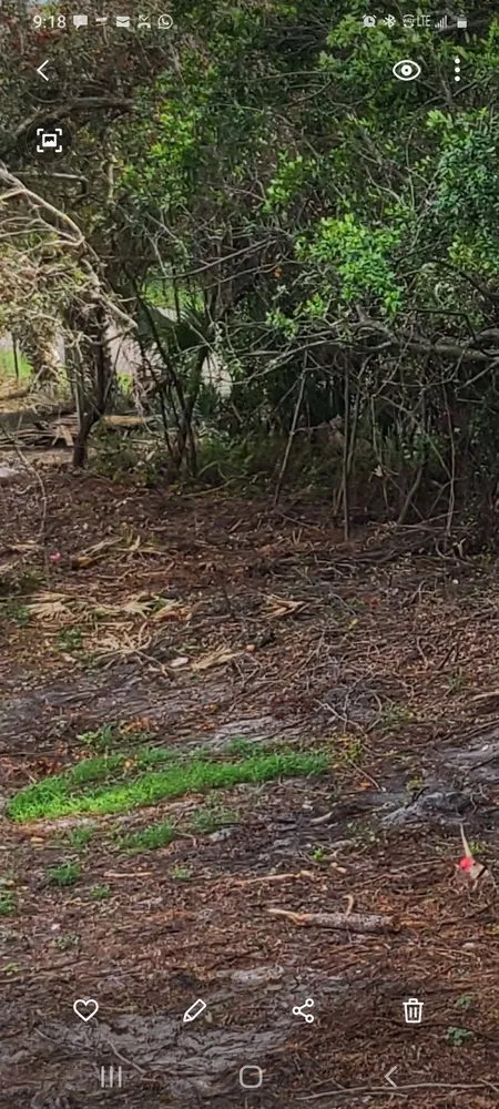 Custom garden landscaping in Orlando, FL - Double D Landscapes