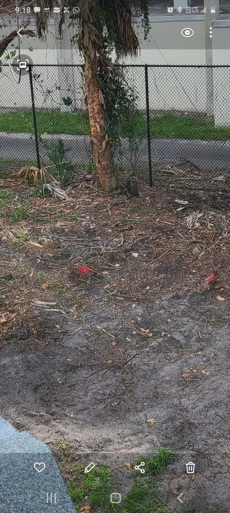 Professional yard cleanup service experts serving Orlando, FL - Double D Landscapes