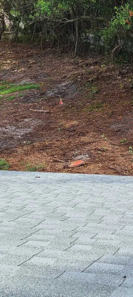 Local yard cleanup service near you across Orlando, FL - Double D Landscapes