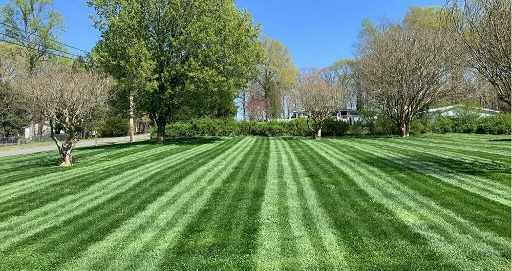 Affordable lawn care service in Trinity, NC - Double D Landscaping & Lawngerie