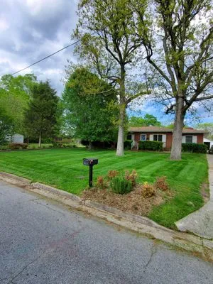 Double D Landscaping & Lawngerie Logo