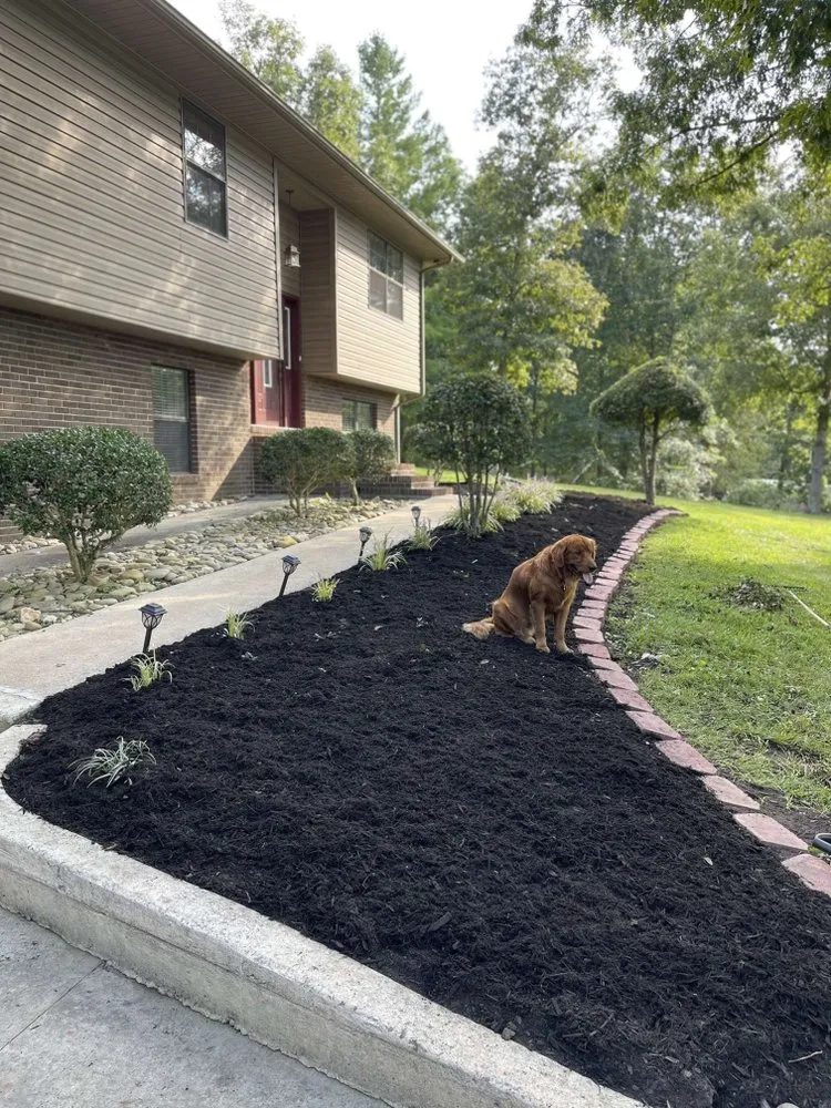 Top-rated residential landscaping experts serving Oneida, TN - Double D Landscaping