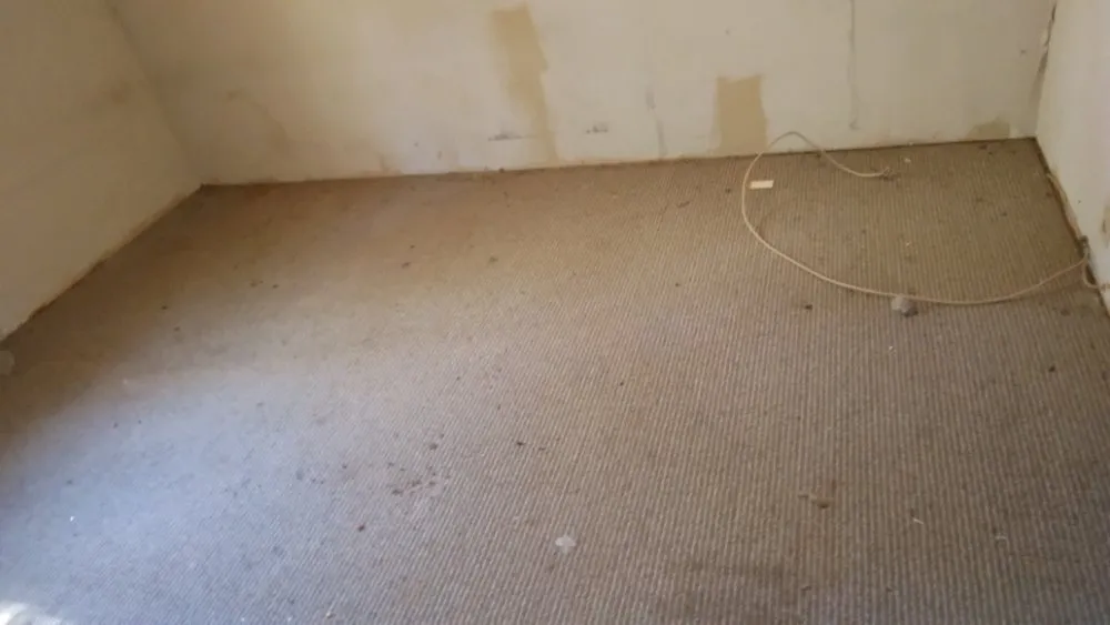 Local outdoor landscaping experts serving Huntsville, TX - Double D Landscaping Services & More