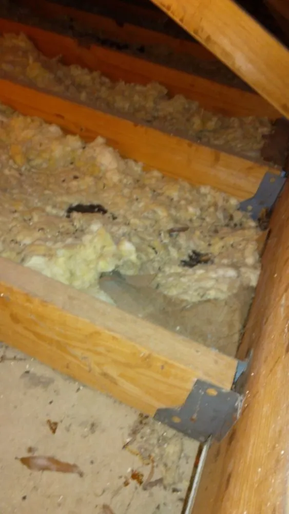 Top-rated outdoor landscaping for homes in Huntsville, TX by Double D Landscaping Services & More