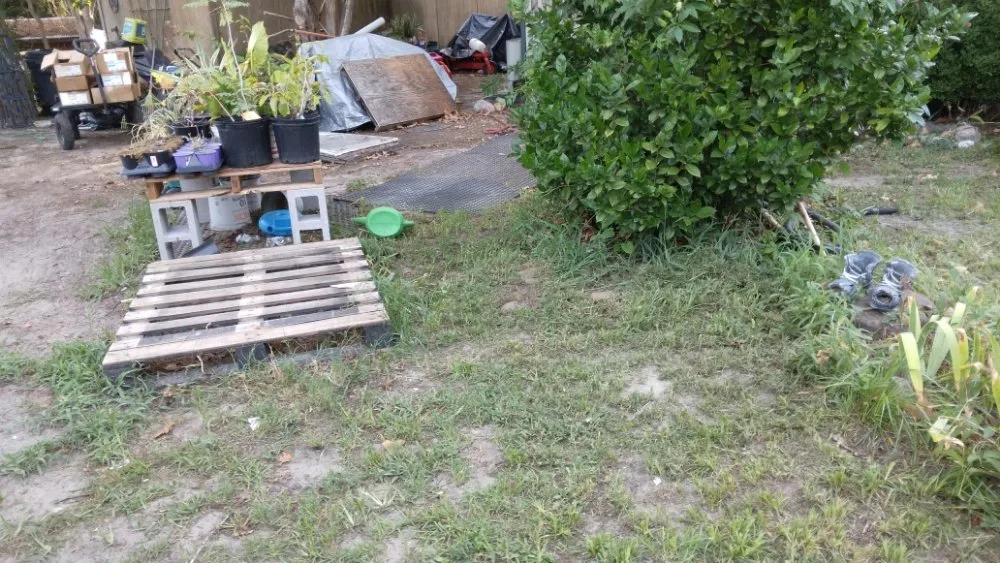 Local yard maintenance for outdoor upgrades across Huntsville, TX - Double D Landscaping Services & More